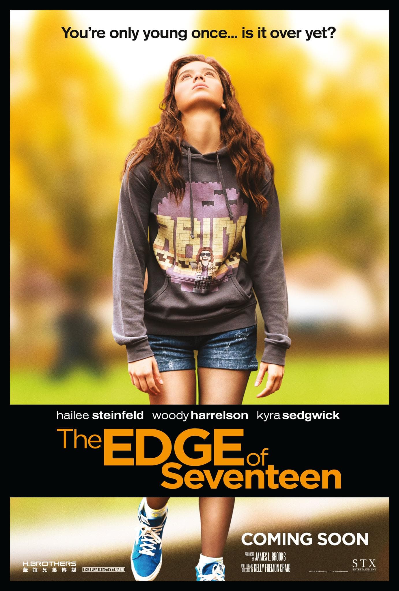 The Edge of Seventeen [Hindi]