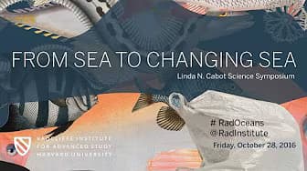 From Sea to Changing Sea || Radcliffe Institute